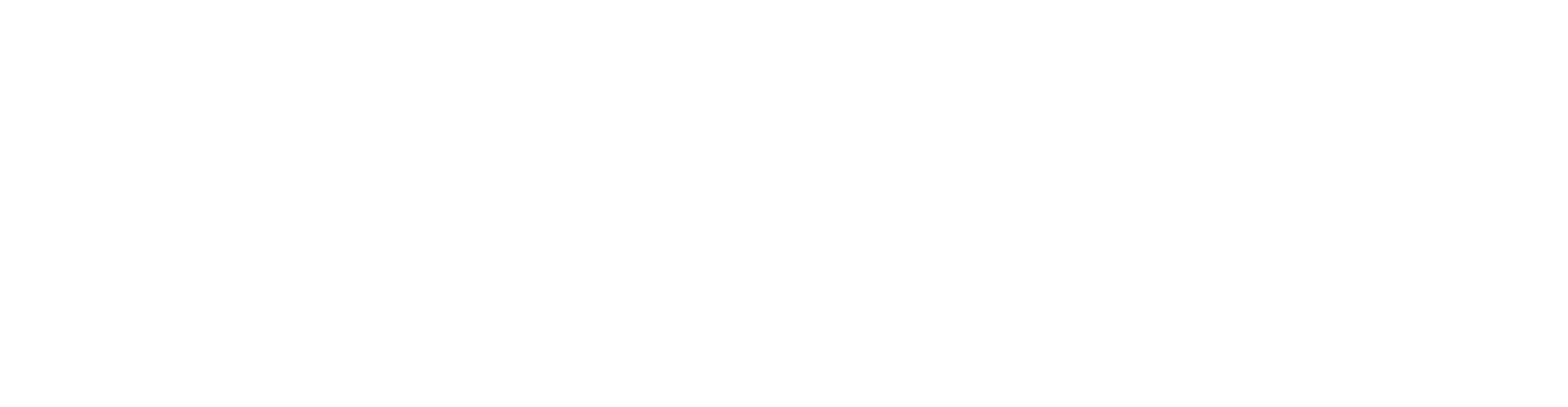 Rave Culture Shop